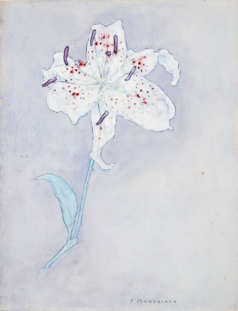 Lys, c.1920-25 - Piet Mondrian