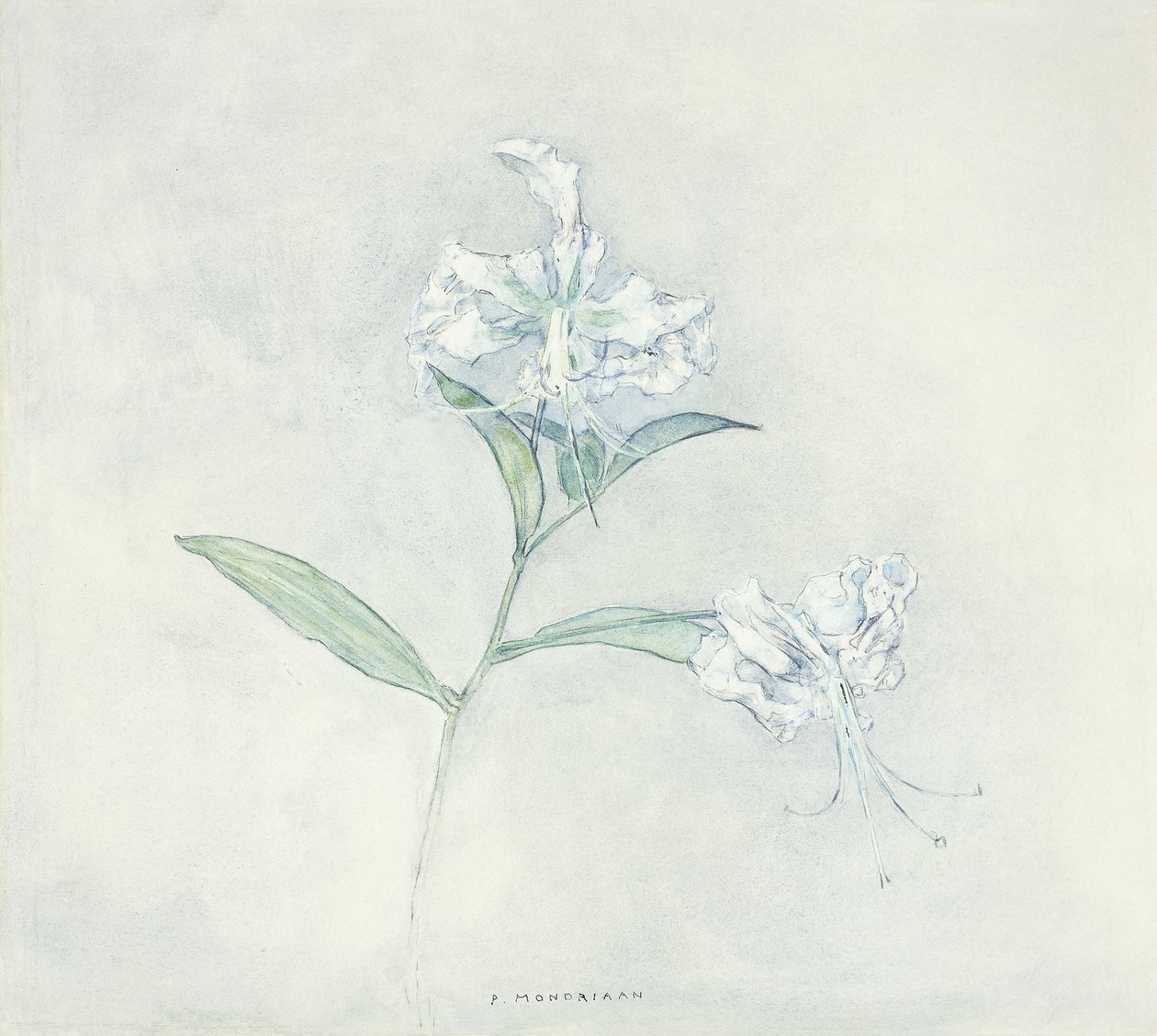 Deux lys japonais - Piet Mondrian