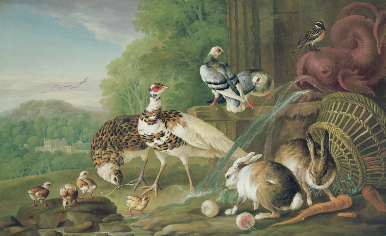 Oiseaux et lapins - Pieter Casteels