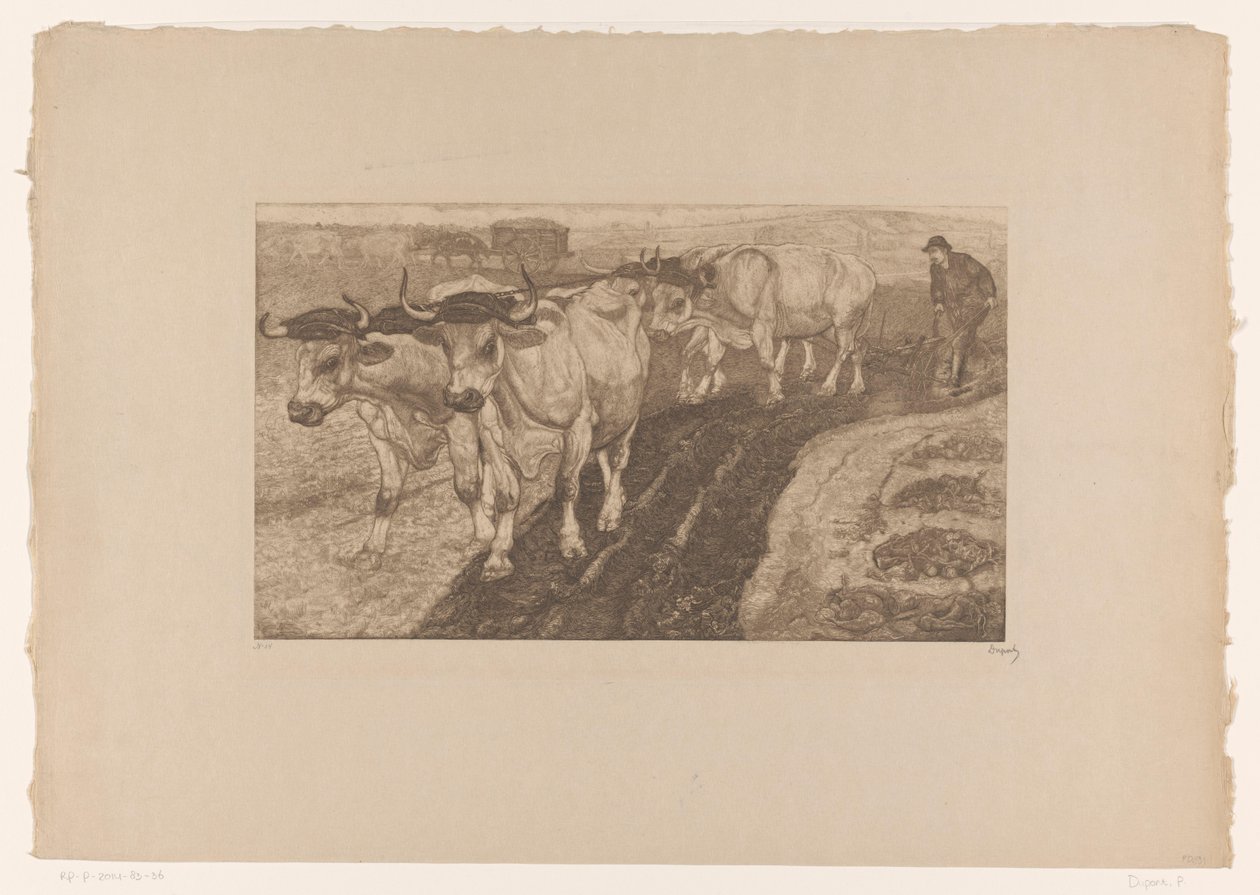 Bœufs labourant - Pieter Dupont (signed by artist)