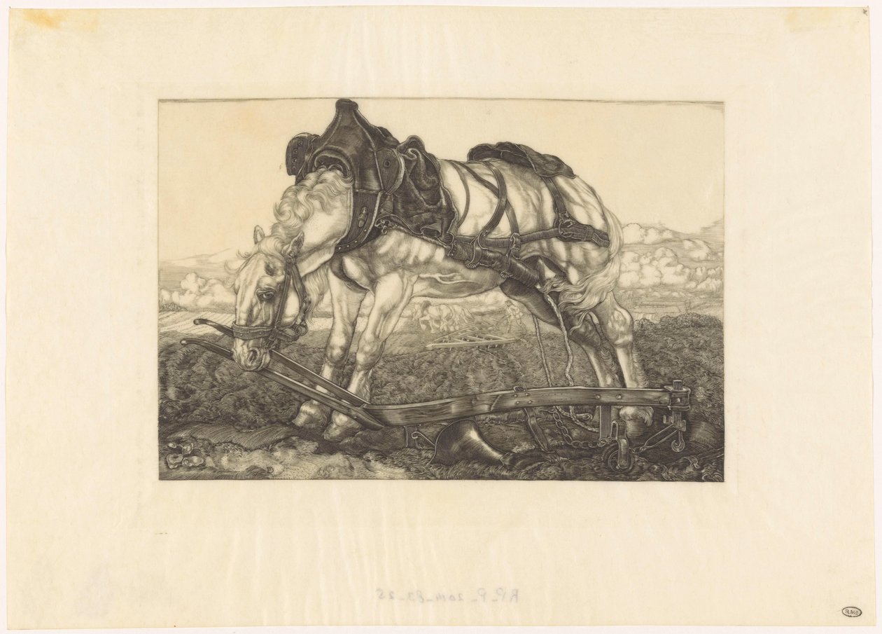 Cheval de labour au repos - Pieter Dupont