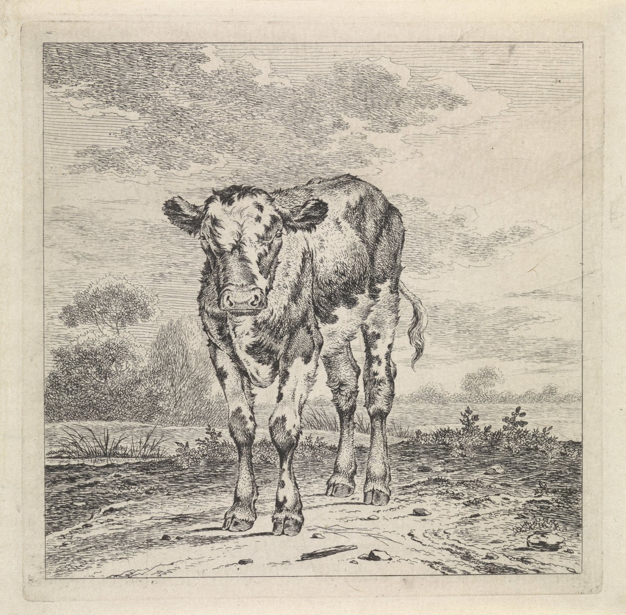 Paysage avec veau - Pieter Janson