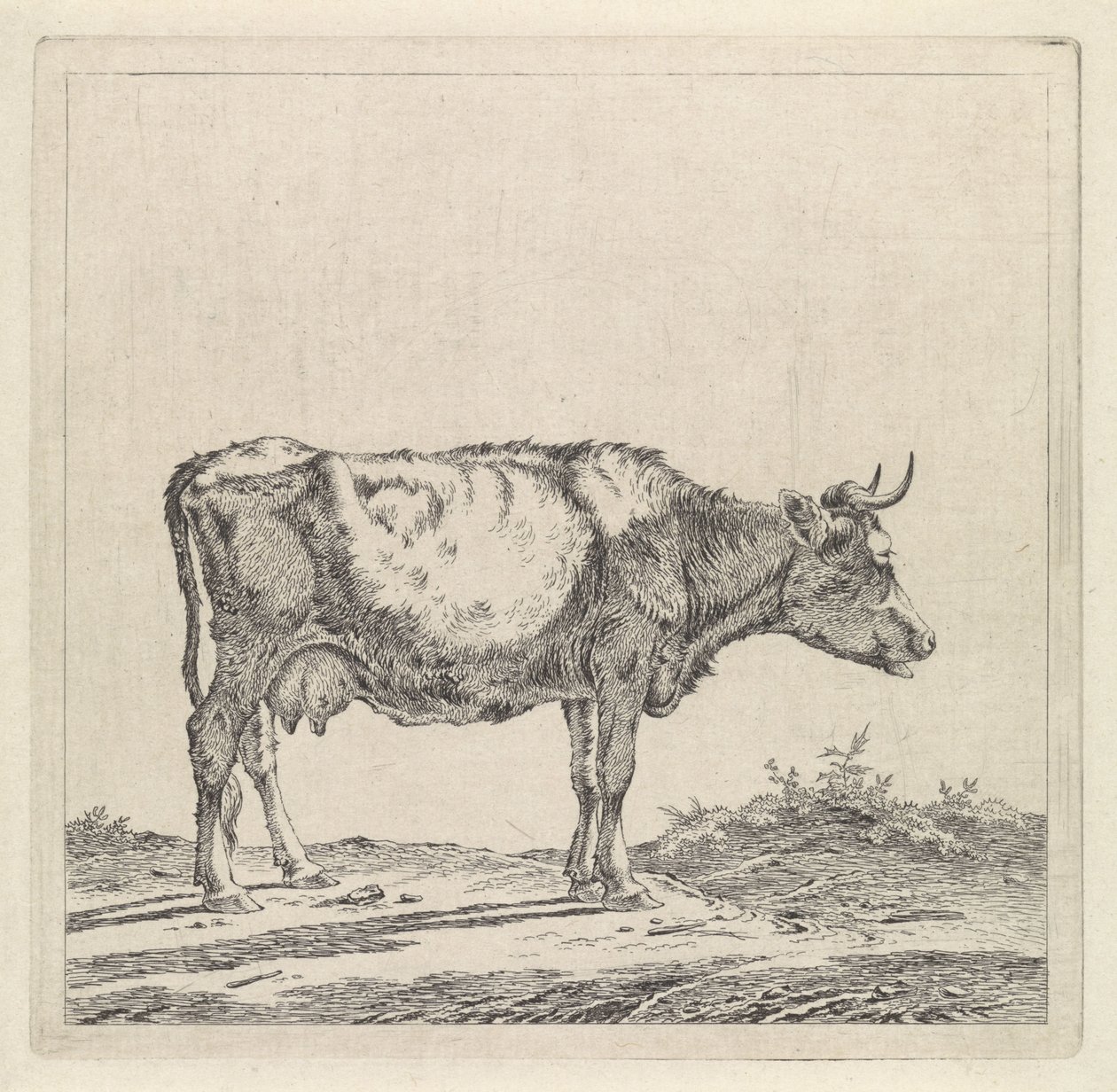 Paysage avec vache au bord de l