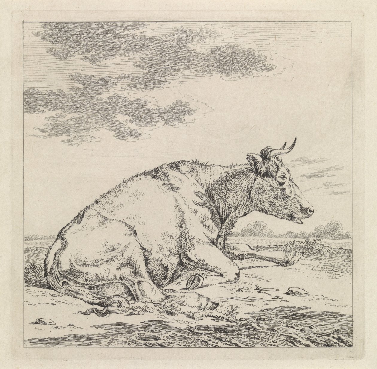 Vache couchée, vers la droite - Pieter Janson