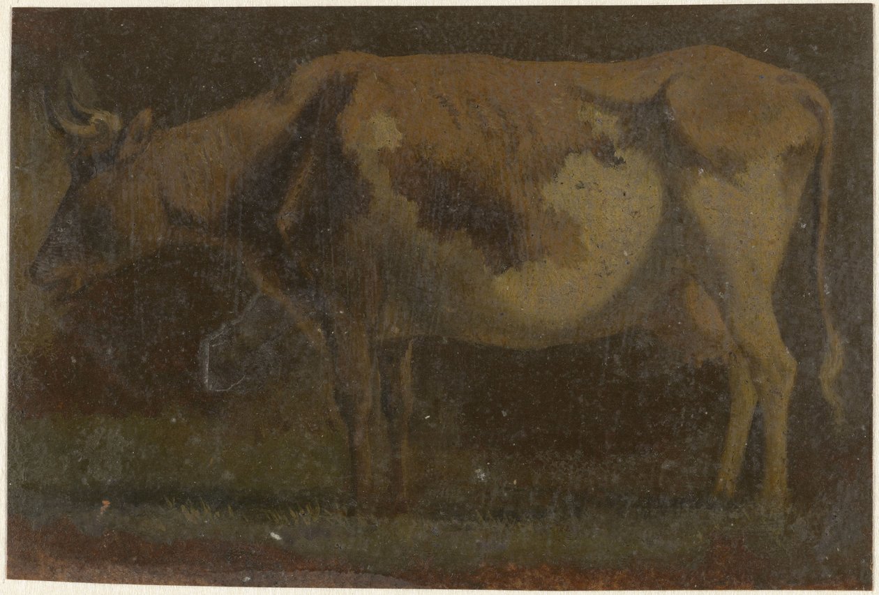 Vache debout, vers la gauche - Pieter Janson