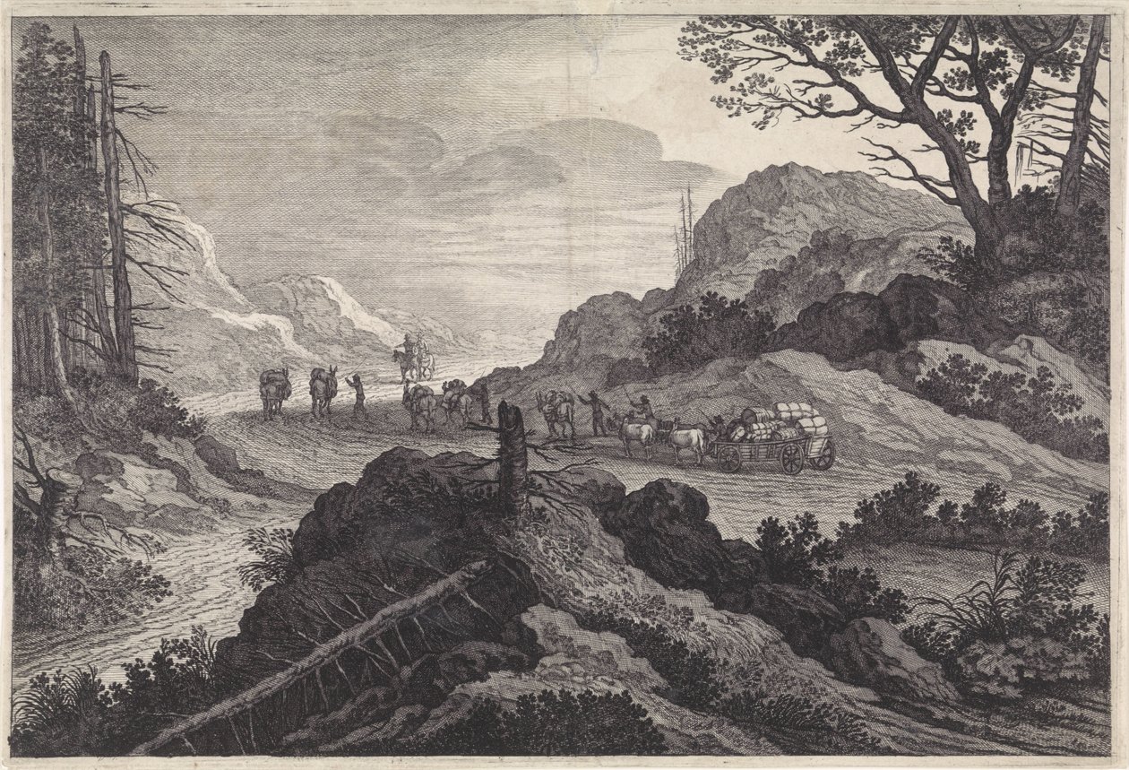 Ânes de bât sur une route - Pieter Nolpe