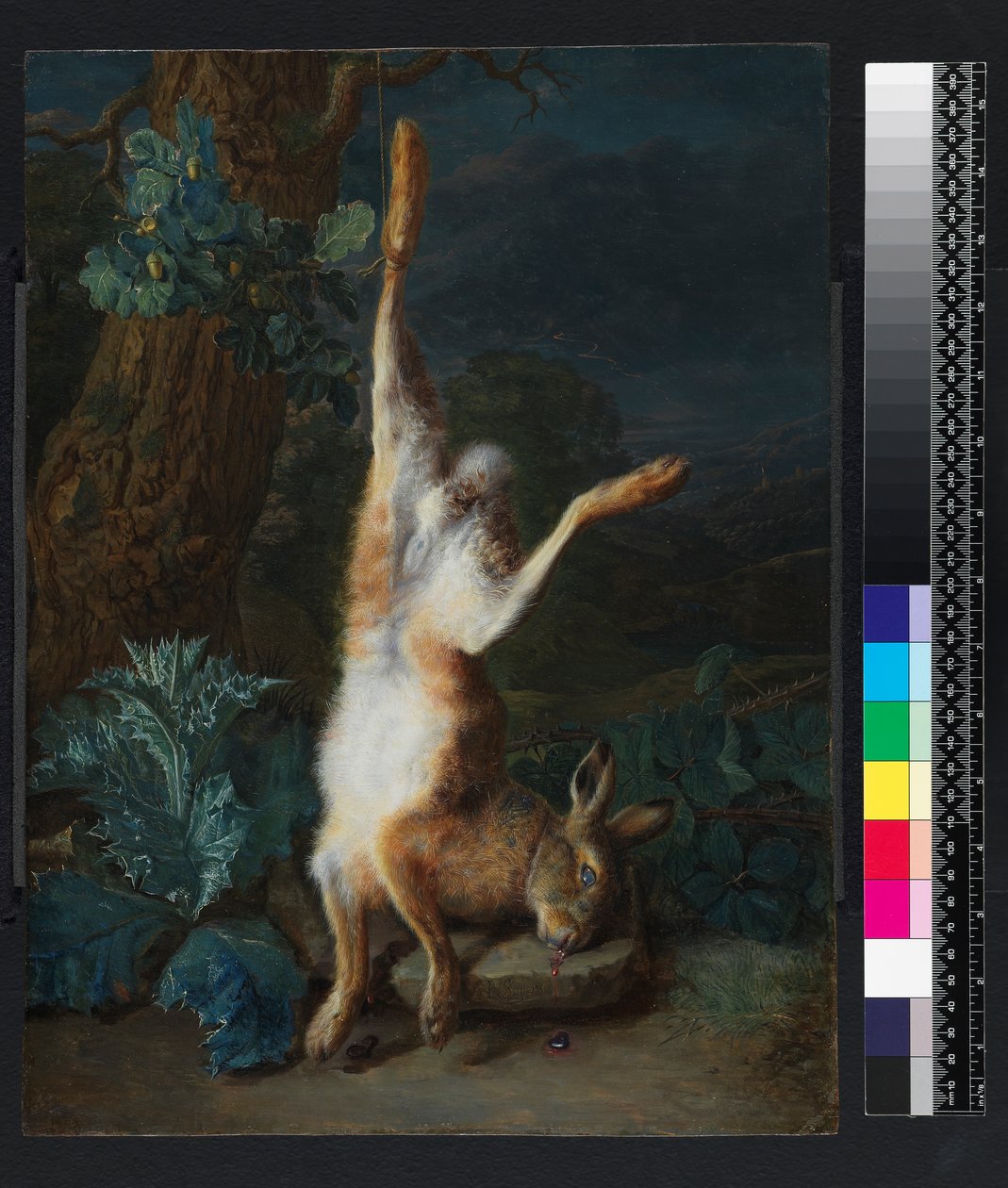 Un lièvre mort, avant 1782 - Pieter Snyers