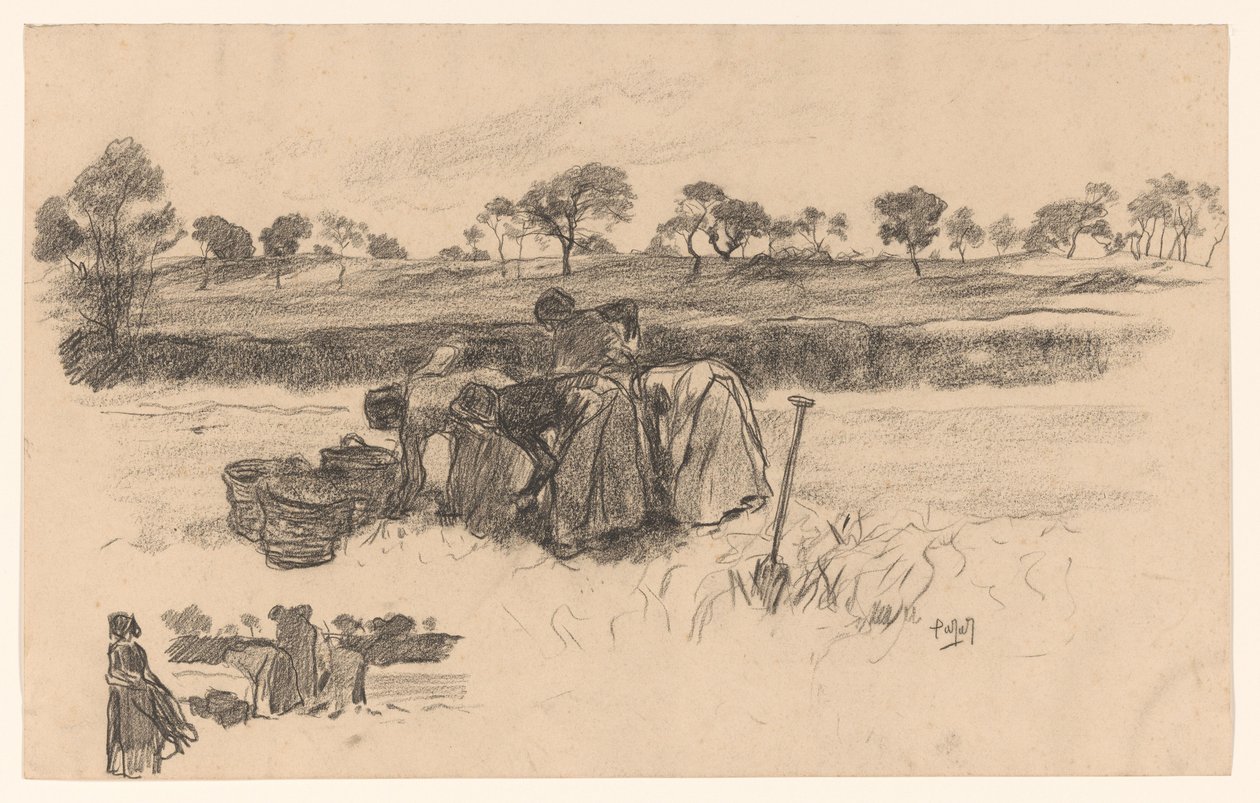 Femmes travaillant dans le champ - Pieter de Josselin