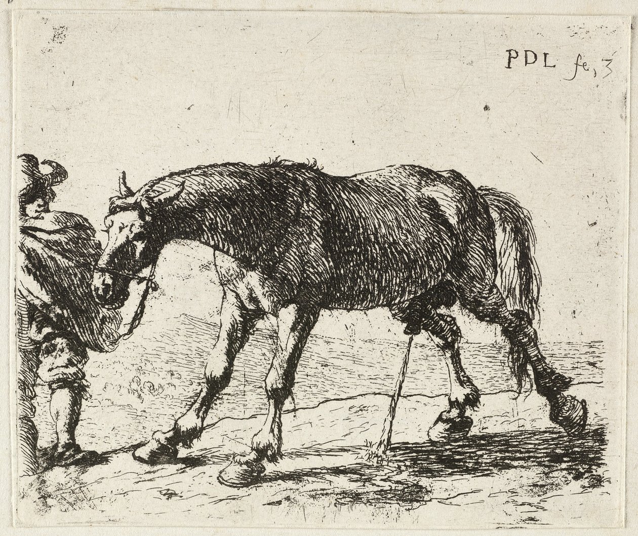 Cheval qui pisse - Pieter van Laer