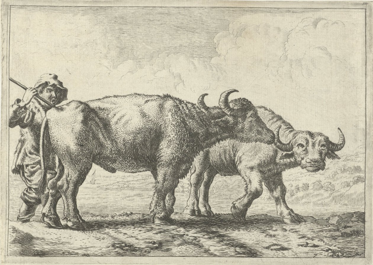 Deux buffles et un berger - Pieter van Laer