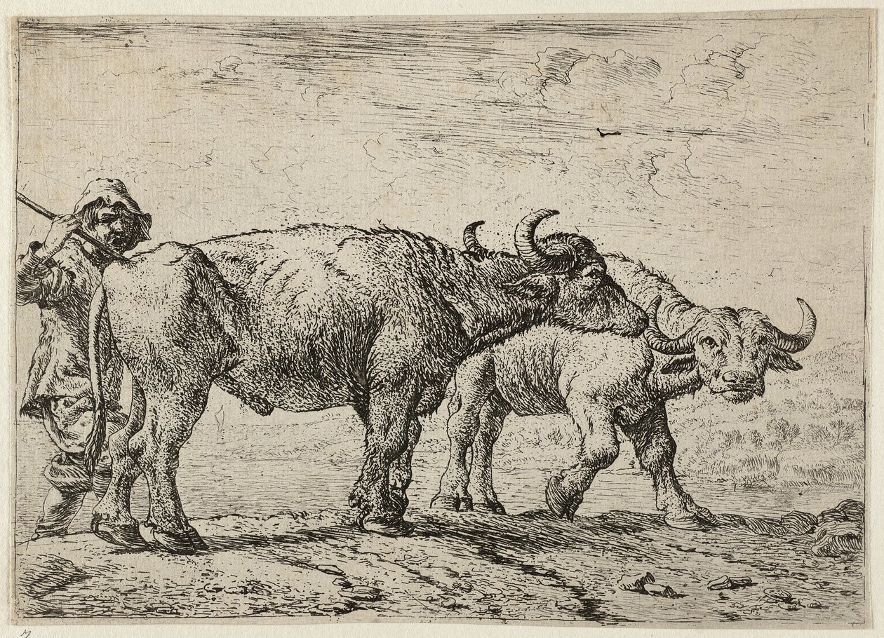 Deux buffles et un berger - Pieter van Laer