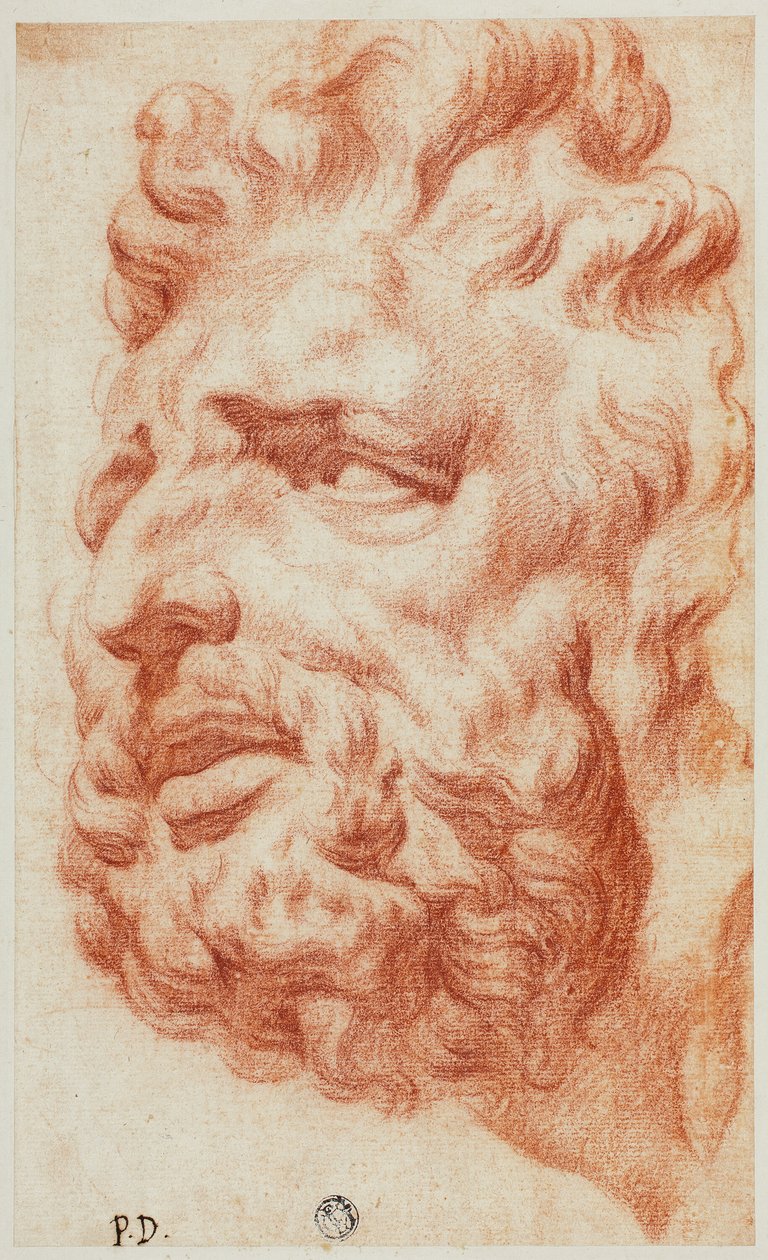 Tête de Laocoon - Pietro Dandini