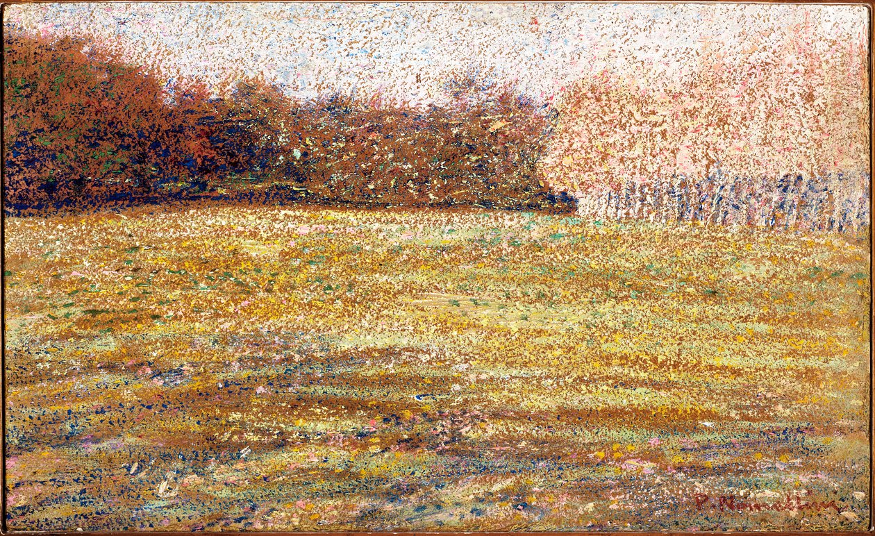 Aux Cascine, Florence, 1889-90 - Plinio Nomellini