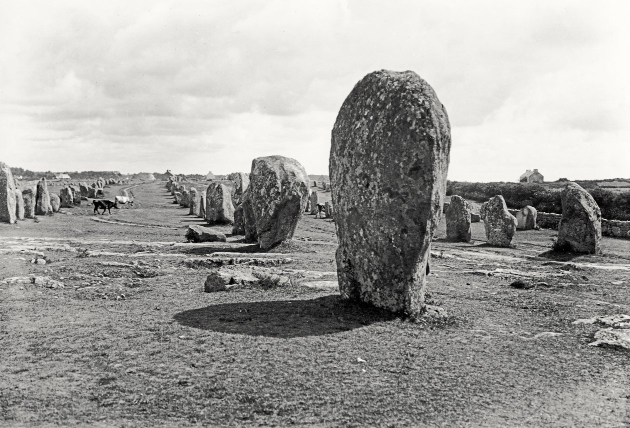 Alignement de pierres dressées, Mégalithique, 4e-3e millénaire av. J.-C. - Prehistoric