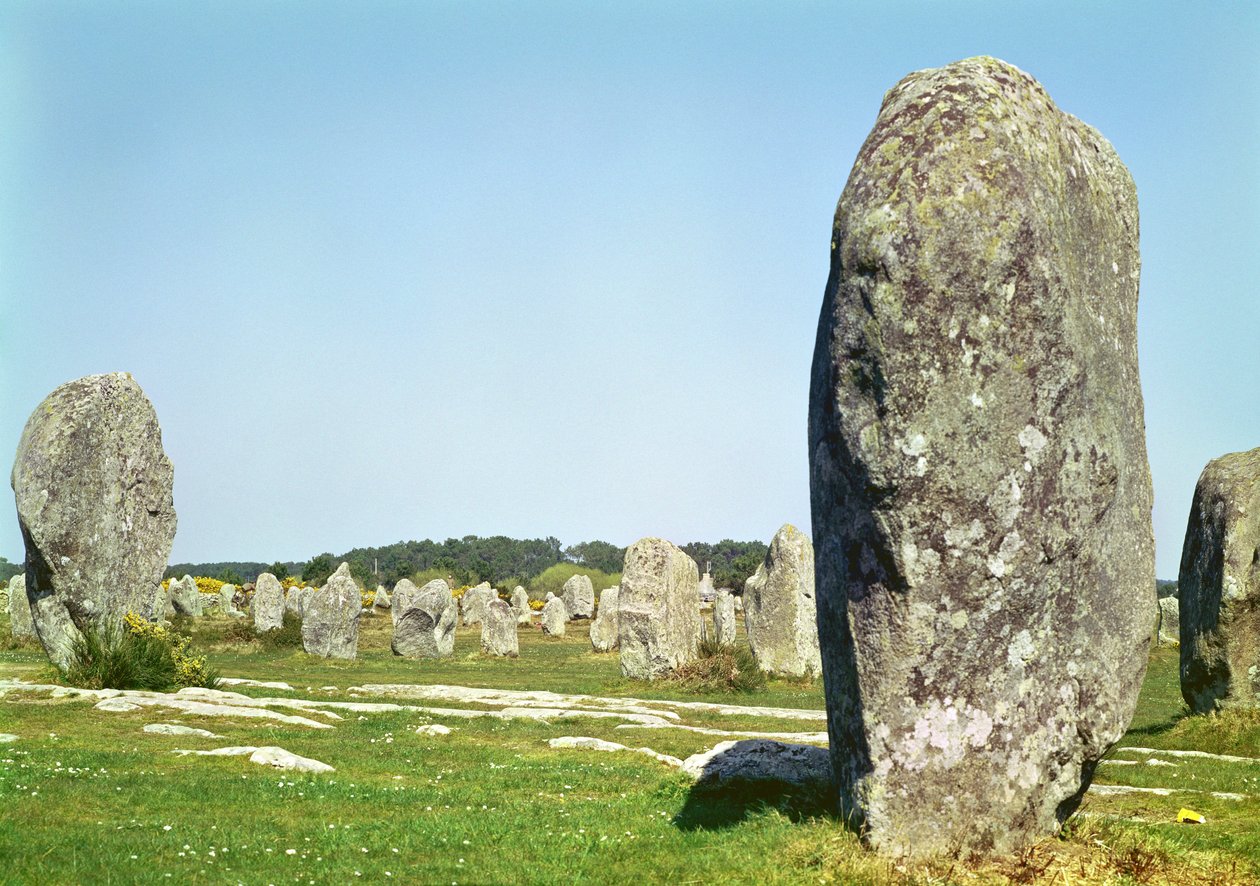 Alignement de pierres dressées, période mégalithique, 4e-3e millénaire av. J.-C. - Prehistoric