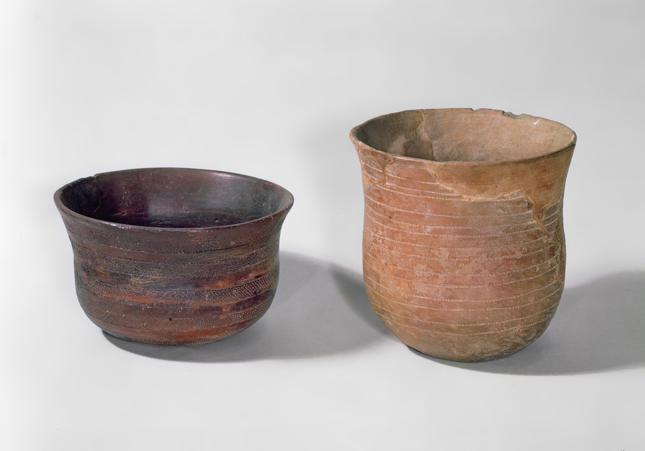 Deux vases campaniformes (poterie) - Prehistoric