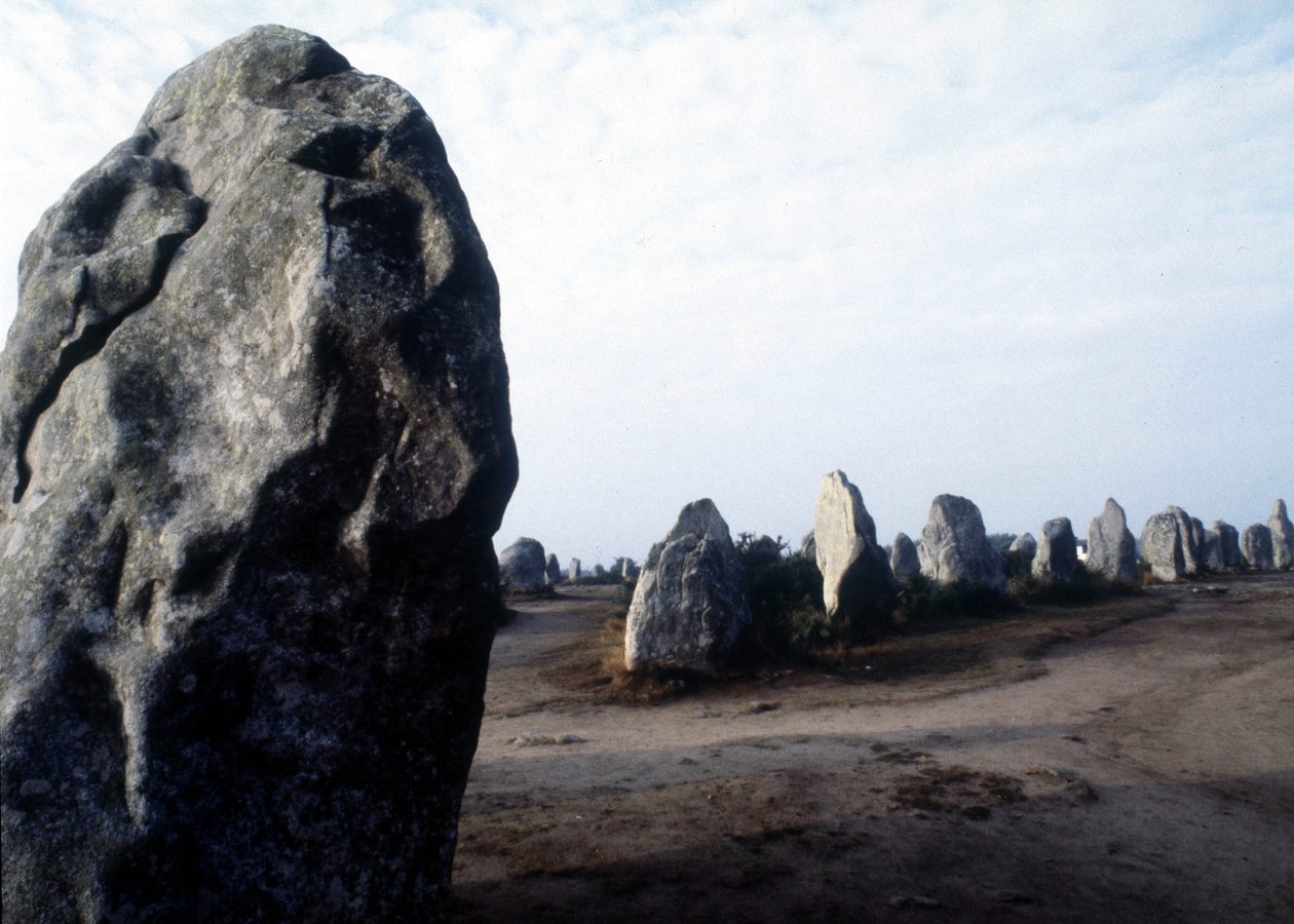 Monuments mégalithiques de Carnac à Kermario - Prehistoric Prehistoric