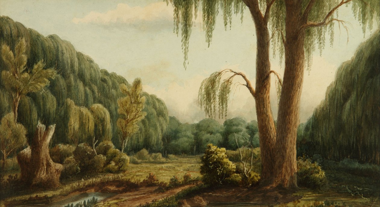 Bosque de Palermo - Prilidiano Pueyrredon