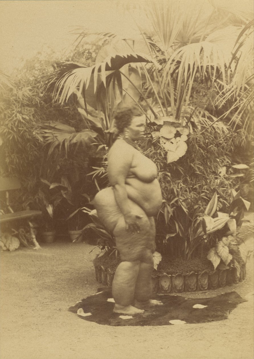 (Femme Africaine) - Napoleon Bonaparte