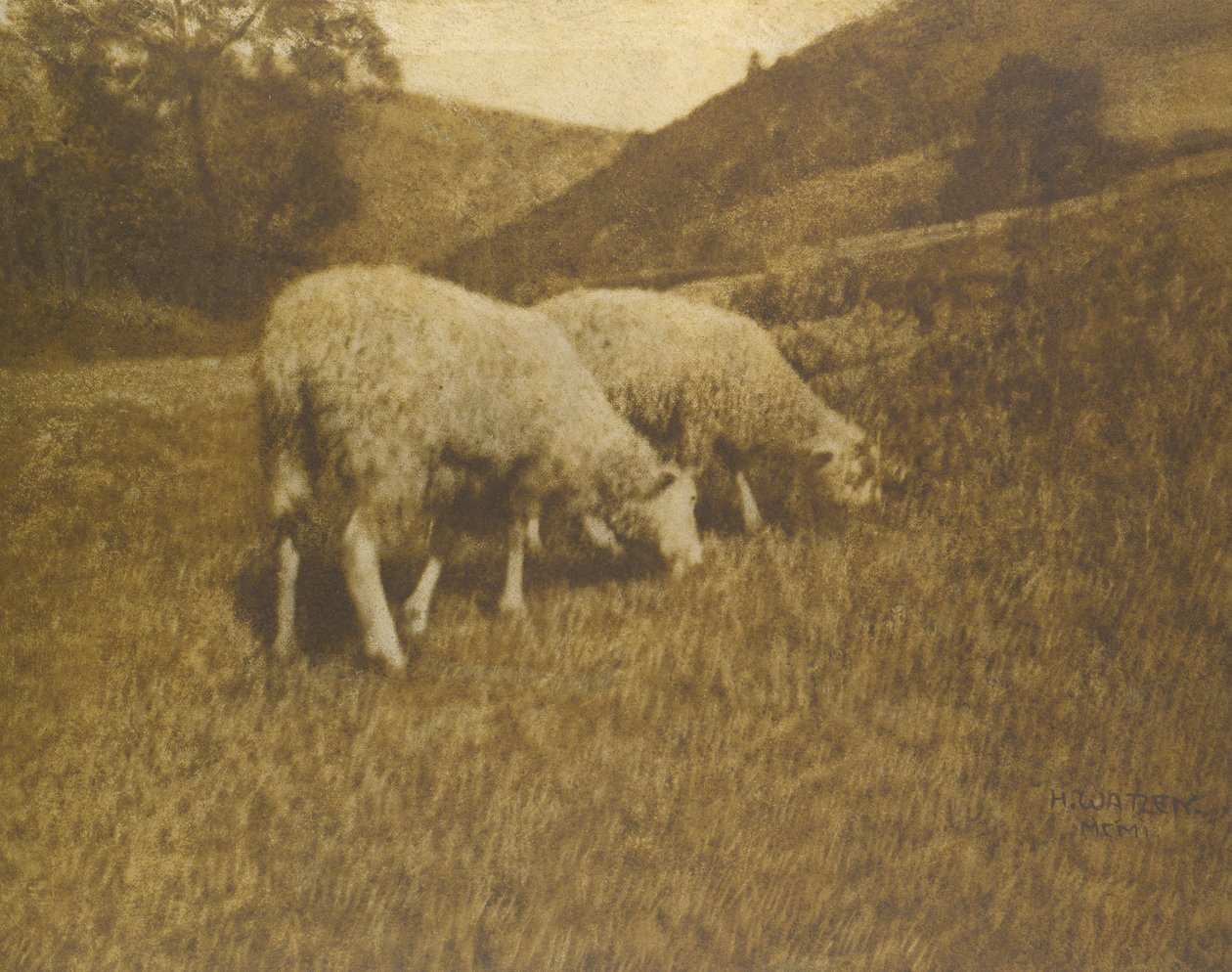 Moutons, 1901 - Professor Hans Watzek