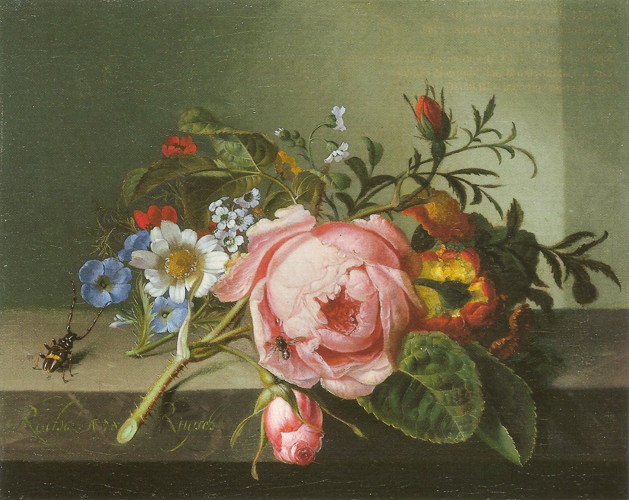 Branche de rosier avec scarabée et abeille - Rachel Ruysch