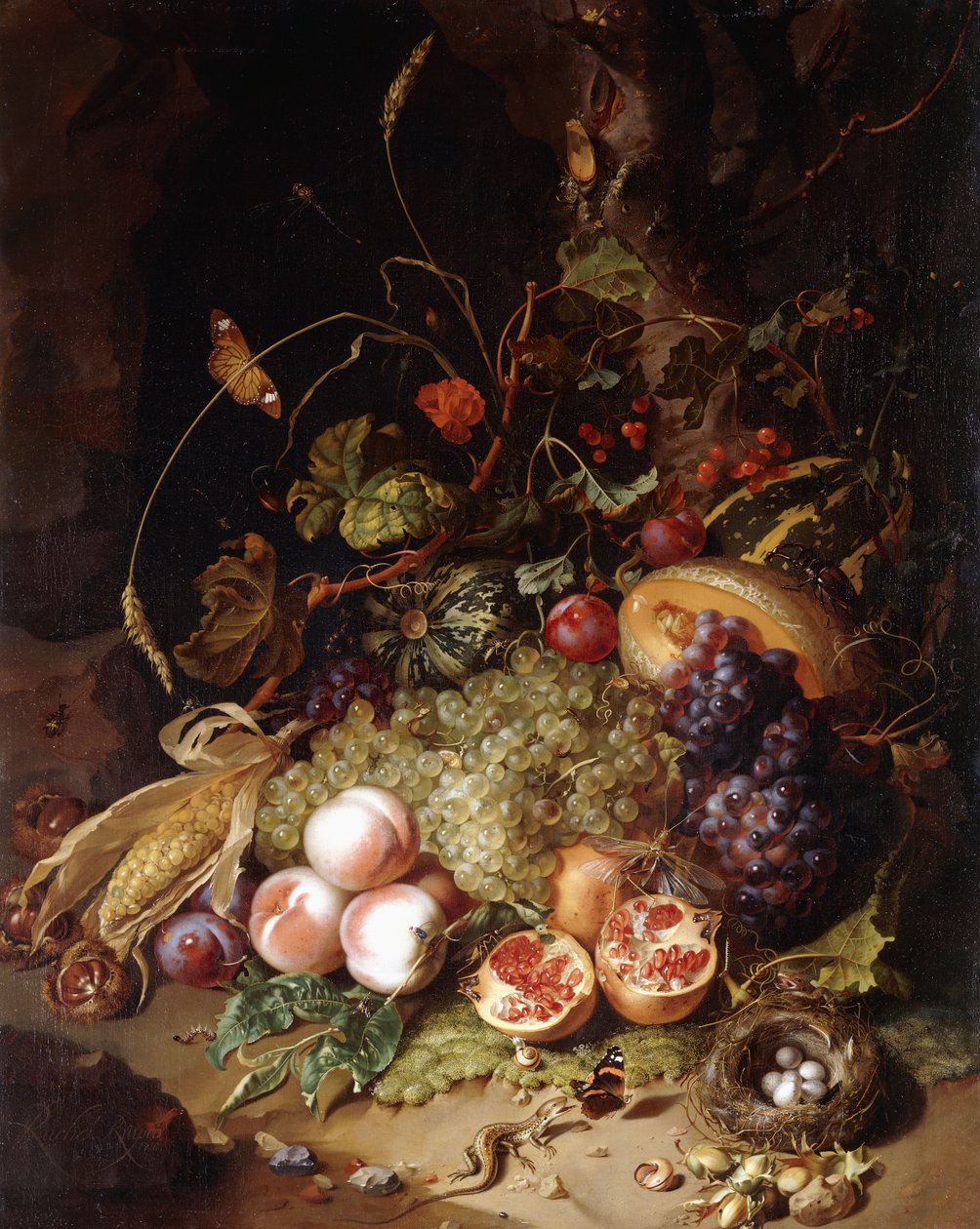 Nature Morte avec Fruits et Insectes - Rachel Ruysch
