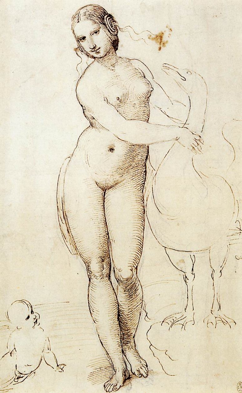 Léda et le cygne - Raffaello Sanzio Raphael