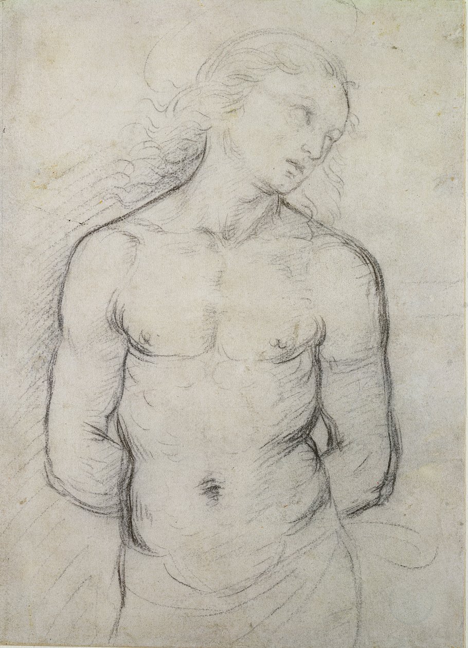 Saint Sébastien, 1499-1500 - Raffaello Sanzio Raphael