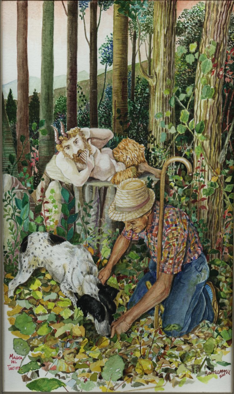 La magie de la truffe - Raimondo Gambino
