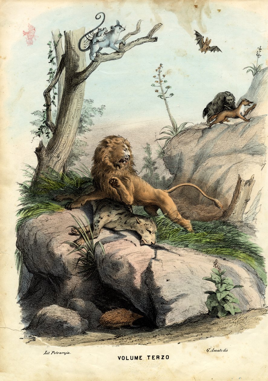 Page de Titre, 1863-79 - Raimundo Petraroja