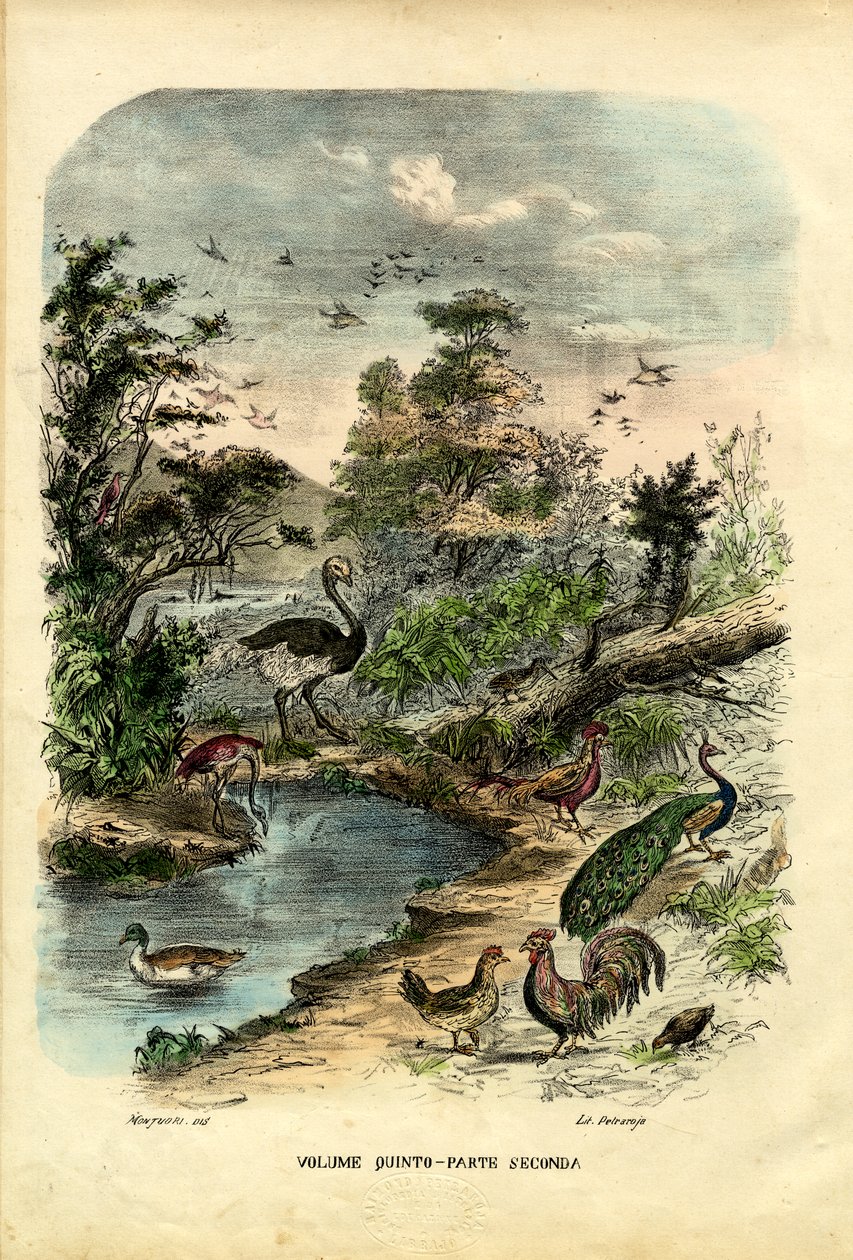 Page de titre, 1863-79 - Raimundo Petraroja