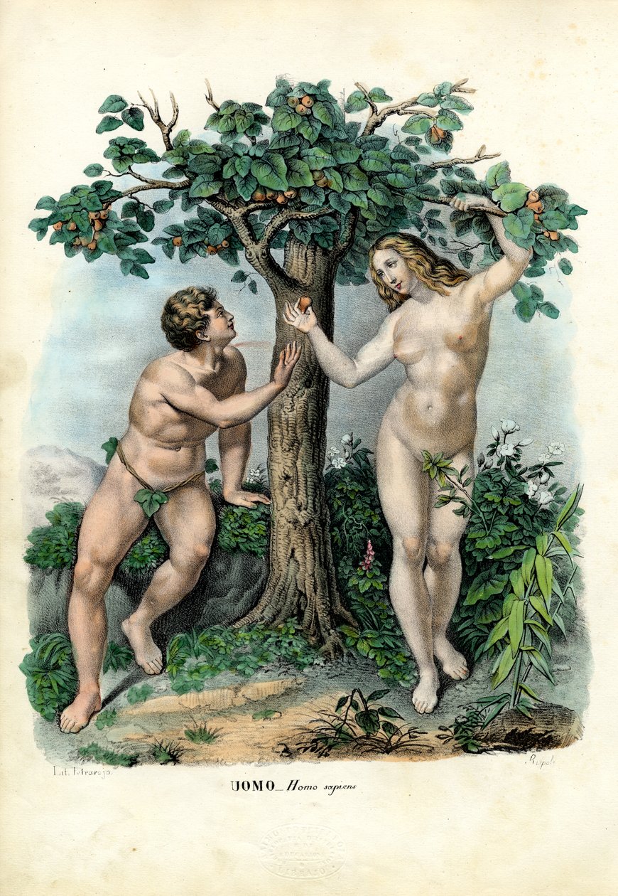 Races humaines, 1863-79 - Raimundo Petraroja