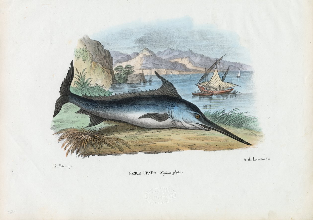 Espadon, 1863-79 - Raimundo Petraroja