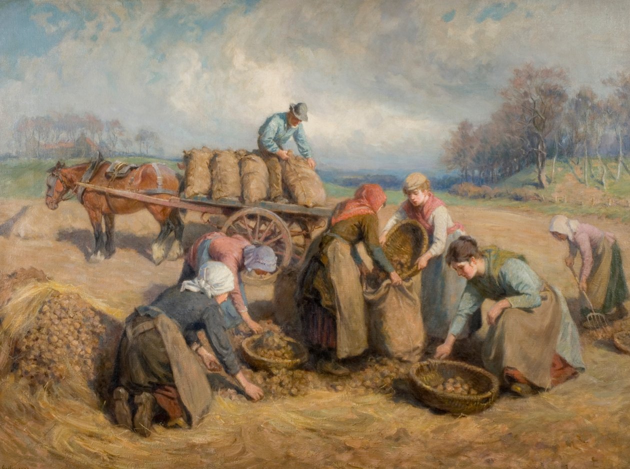 Ramasseurs de pommes de terre, Northumberland, 1903 - Ralph Hedley