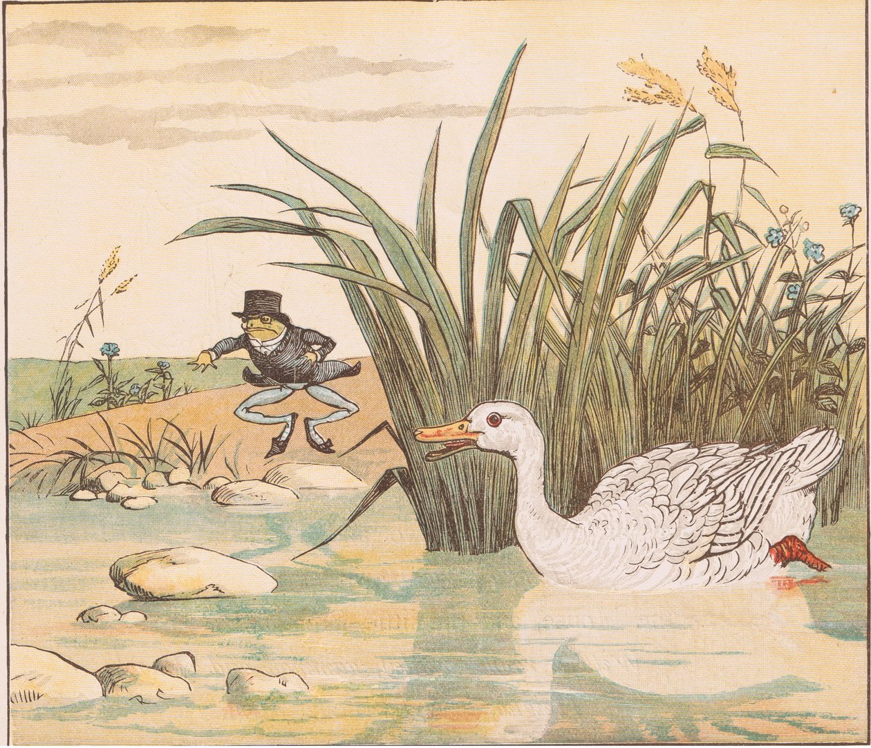 Un Canard Blanc l