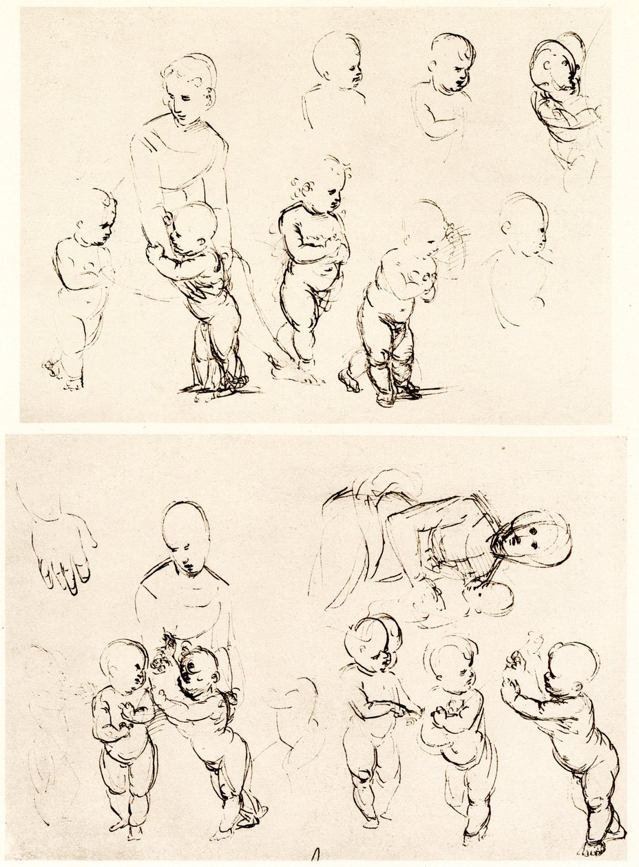 Diverses conceptions pour la Madone à la campagne - Raffaello Sanzio Raphael
