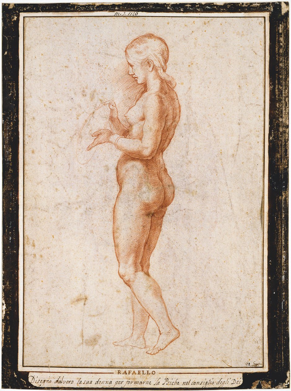 Jeune figure féminine de profil - Raphael