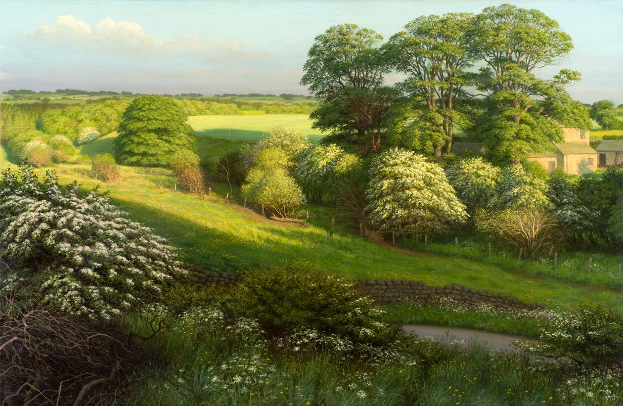 Paysage - Raymond Booth