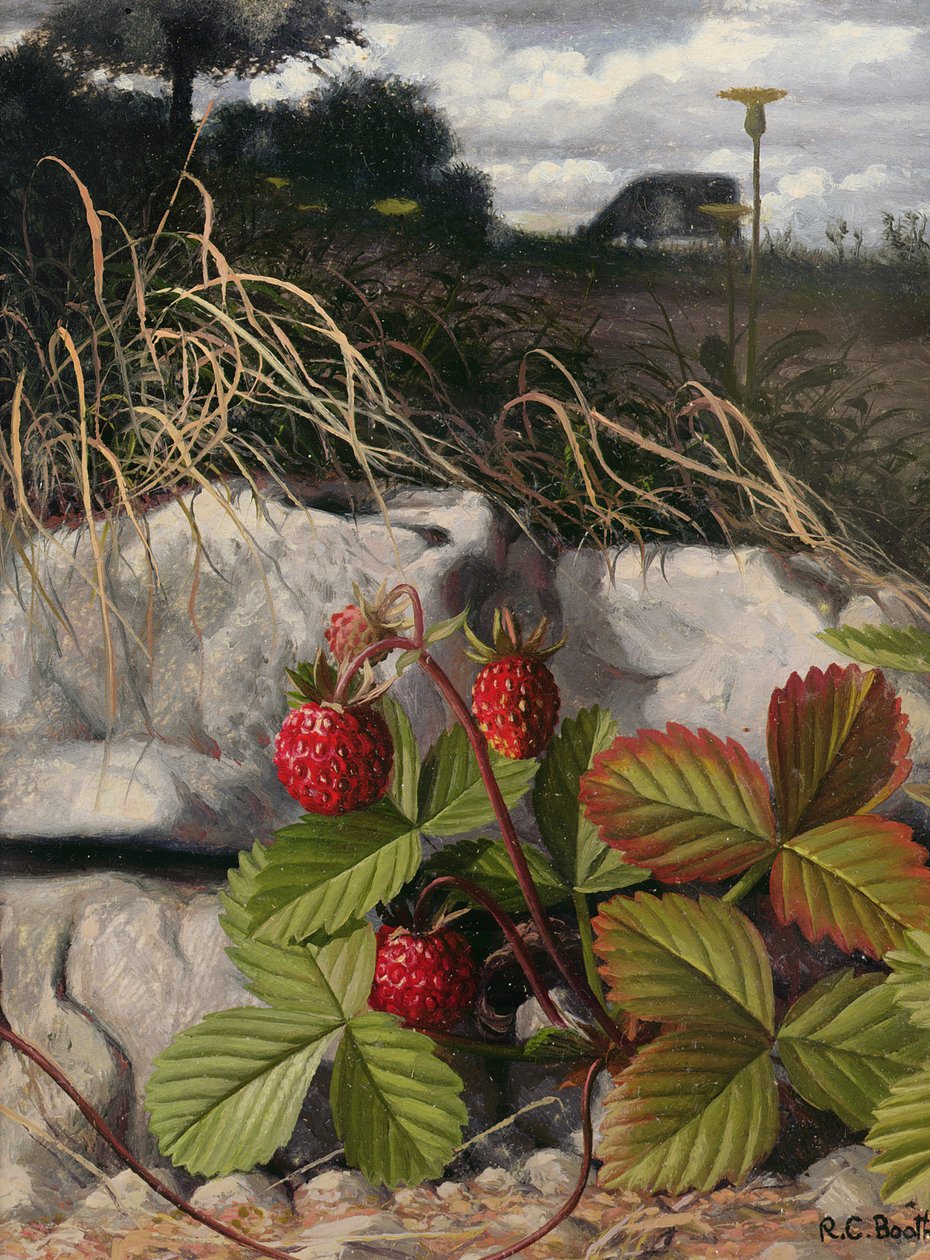 Fraises (huile sur panneau) - Raymond Booth
