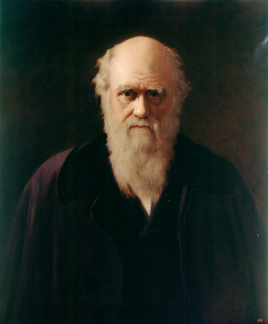 Charles Darwin - Reilly Reilly