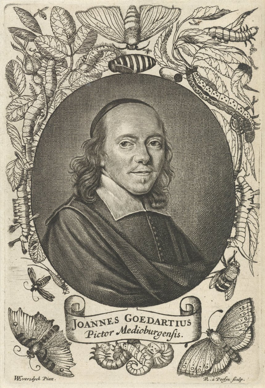 Johannes Goedaert (1617-1668) de Middelburg - Reinier van Persijn