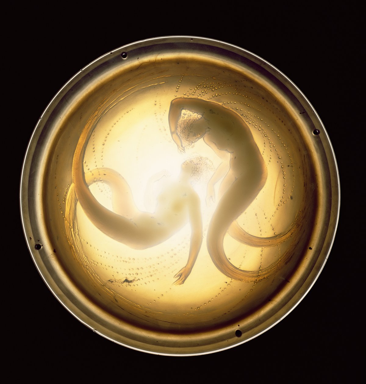 Deux sirènes plafonnier - Rene Jules Lalique