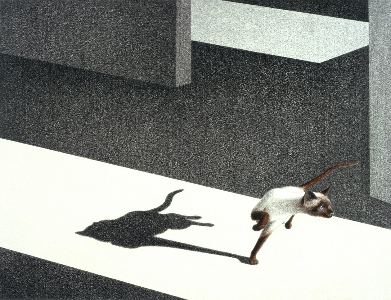 Coin - Rene Boin