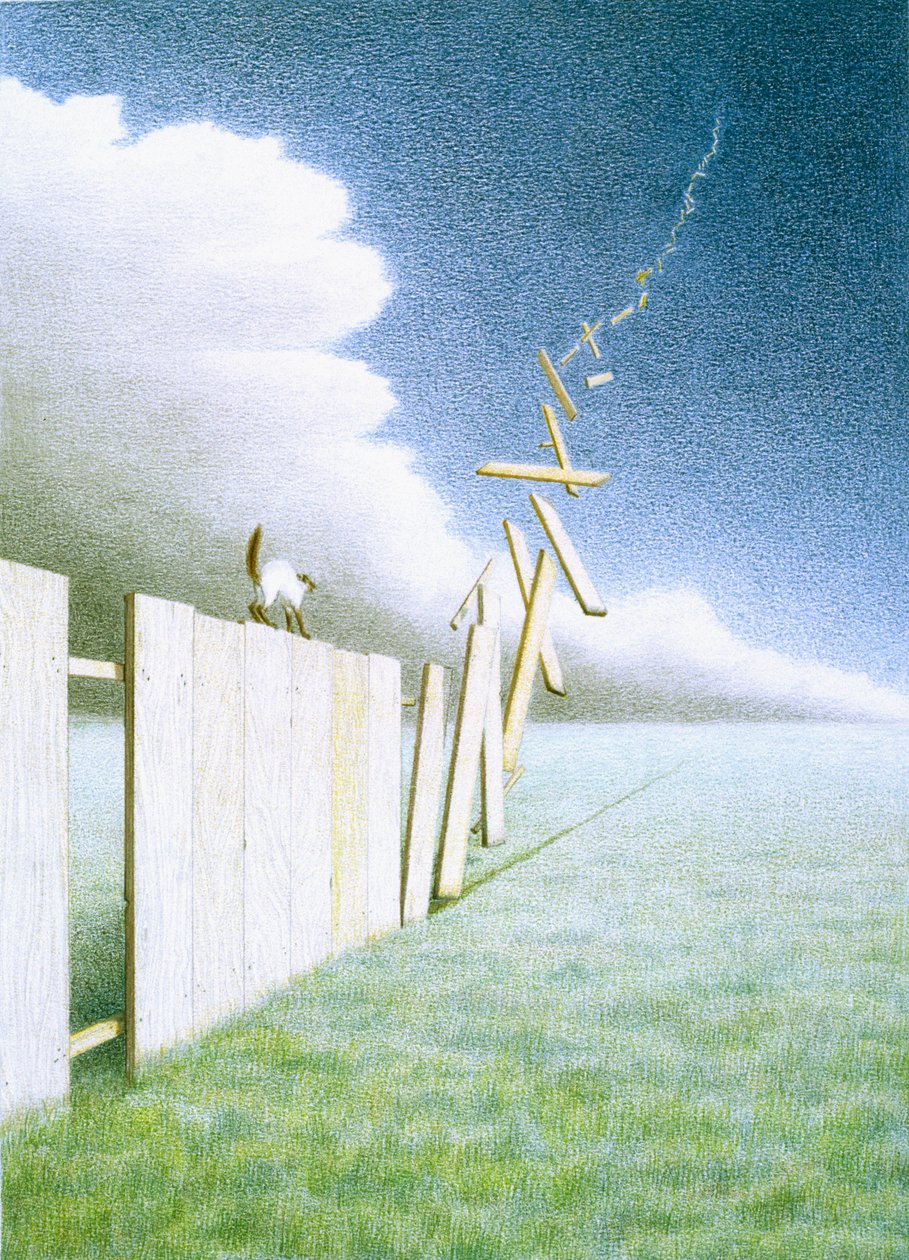 Clôture - Rene Boin