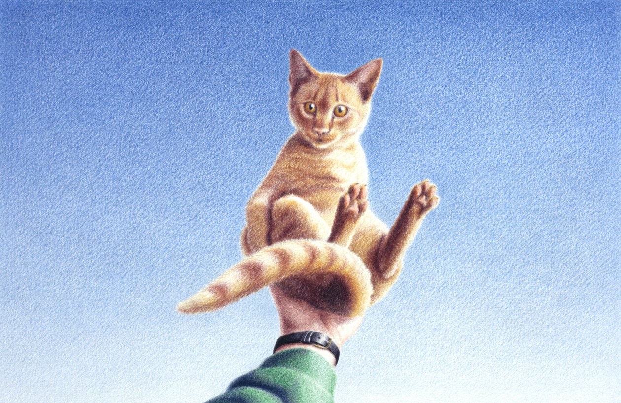 Plein les mains - Rene Boin