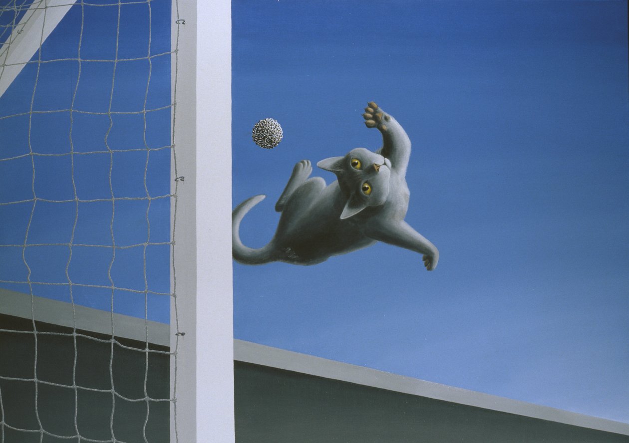 Numero Uno - Rene Boin