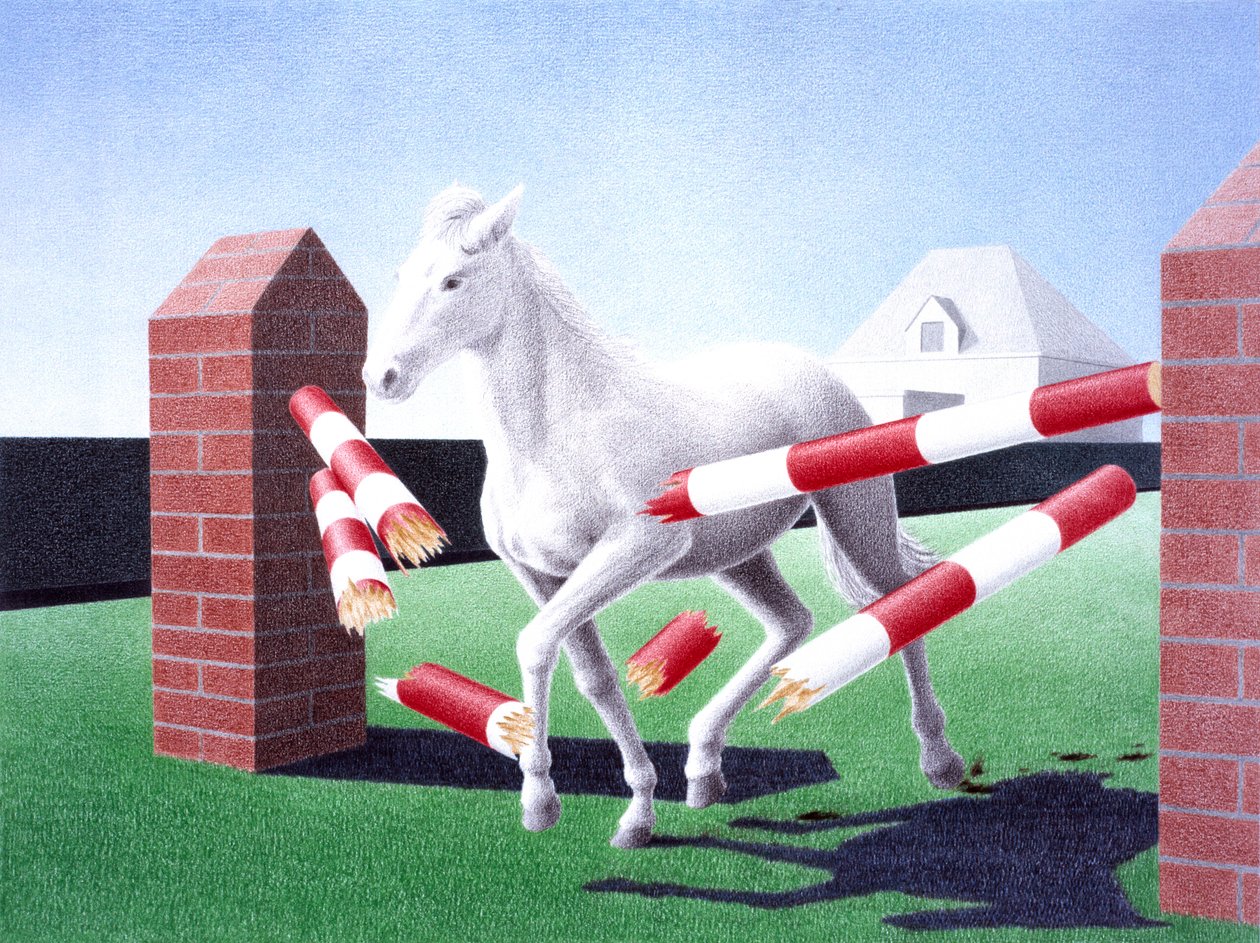 Obstacle - Rene Boin