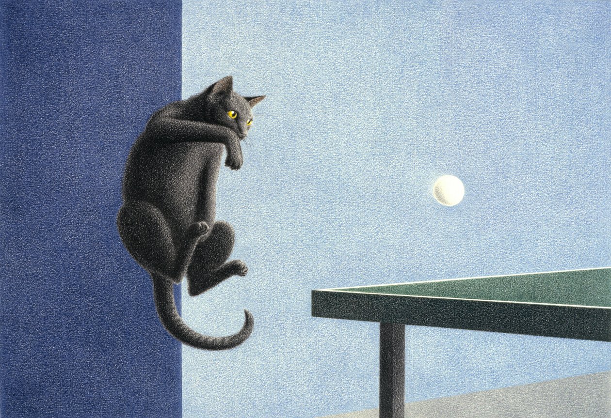 Ping-pong - Rene Boin