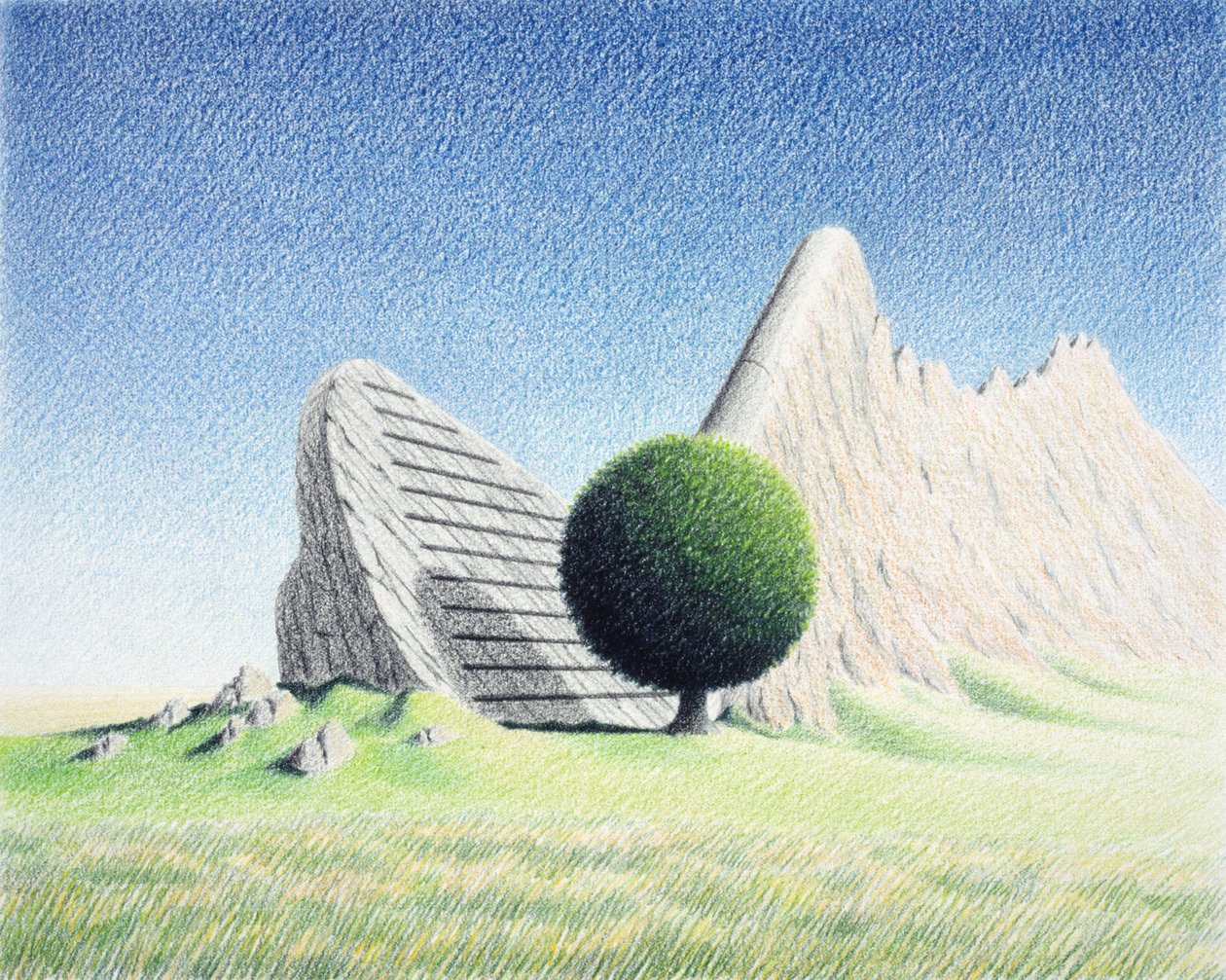 Roche - Rene Boin