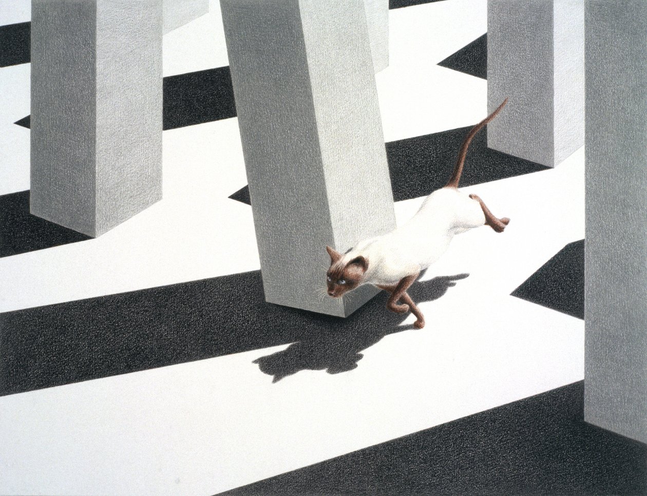 Course - Rene Boin
